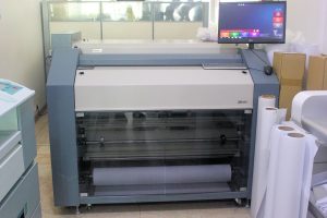 IMG_6608 IMG_6608
